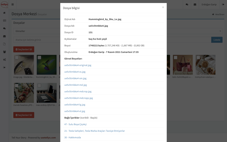 Tellys dosya inceleme ve yönetim ekranı 
